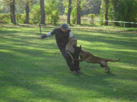 37180_169641559713879_7320668_n