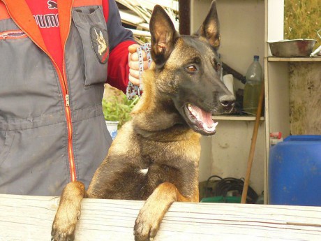 195985_210725852272116_8252440_n