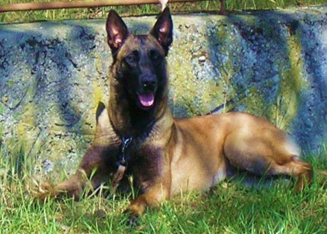 252858_227200547291313_502149_n