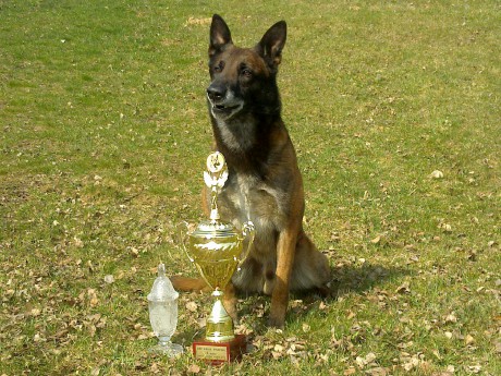 1. místo, nejlepší obrana v kategorii hlídkoví psi - Policejní mistrovství ČR 2010