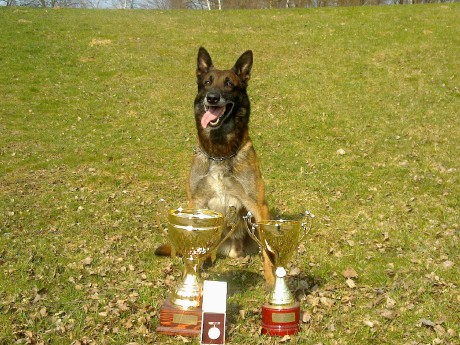 1. místo, nejlepší obranář v kategorii hlídkoví psi - Mistrovství policie ČR ve služební kynologii 2009
